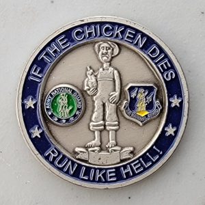 41ST CIVIL SUPPORT TEAM - Challenge Coin