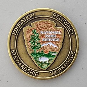 NPS - LEARNING & DEVELOPMENT - Challenge Coin