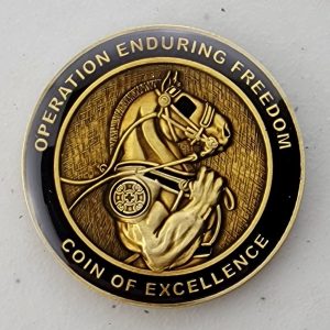 236TH ICTC - TASK FORCE 142 - OEF - Challenge Coin